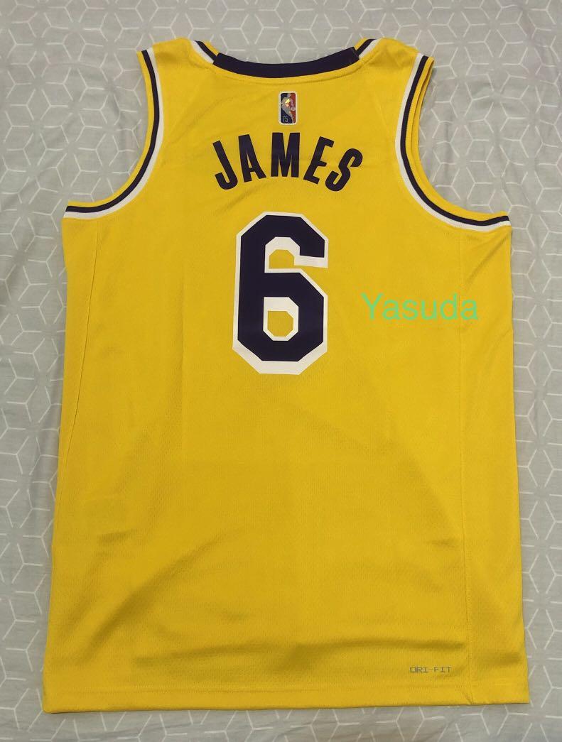 Nike LeBron James Los Angeles Lakers Icon Diamond Edition