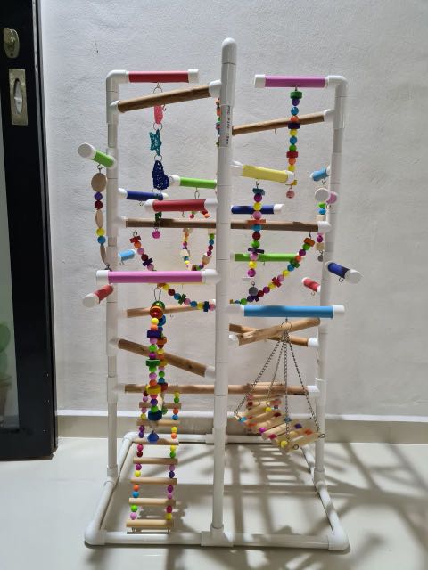 Parrot play gym Pet Supplies Homes Other Pet Accessories on