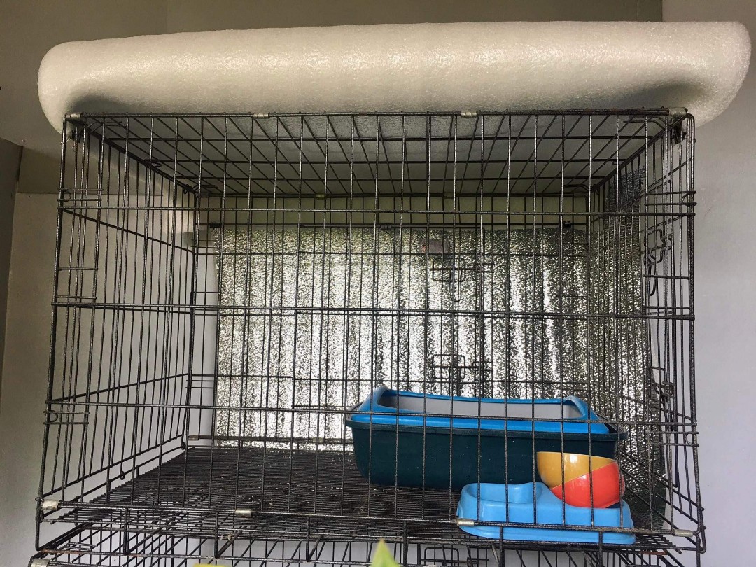 PET CAGE XXL HEAVY DUTY, Pet Supplies, Homes & Other Pet Accessories on