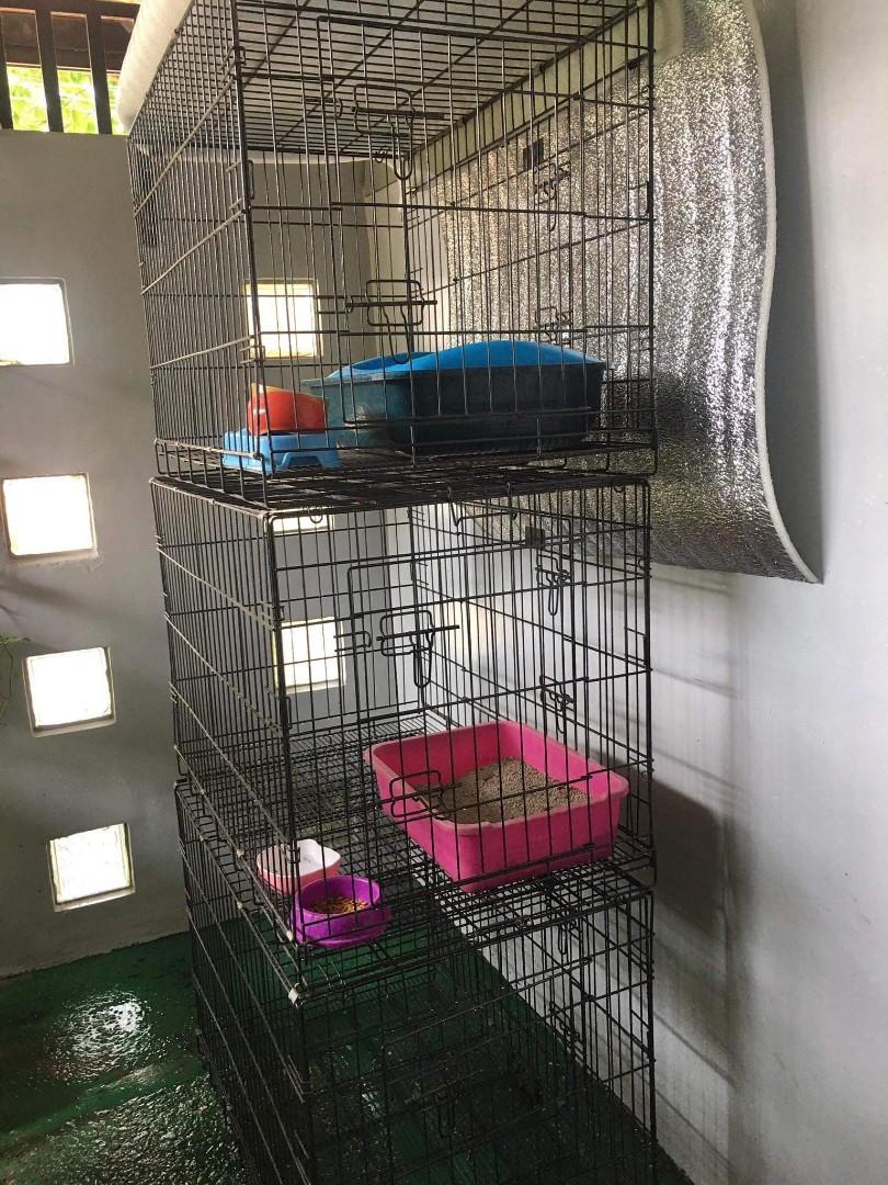 PET CAGE XXL HEAVY DUTY, Pet Supplies, Homes & Other Pet Accessories on