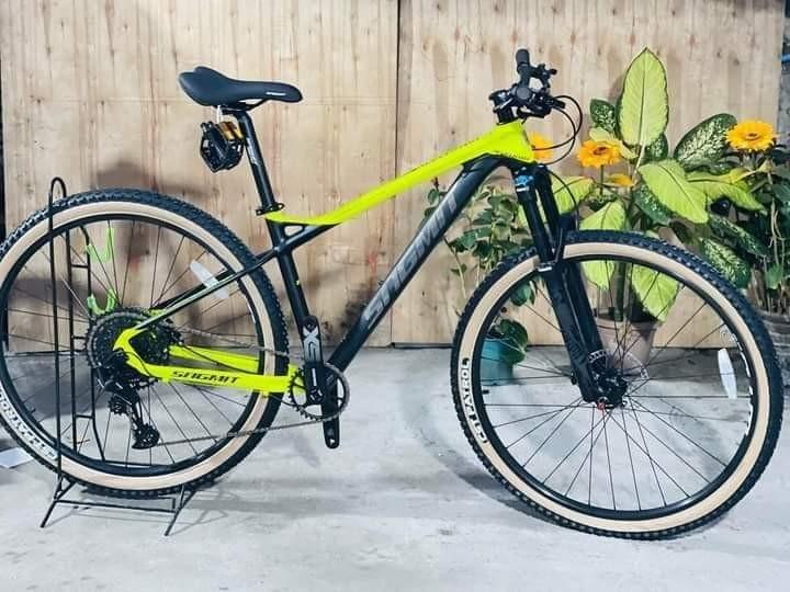 Sagmit revelator mtb frame price deals