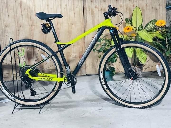 Sagmit revelator on sale price