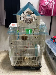 (Category: ) located in . Submitted by reenadzreen (Listing ID 1128838098, Image 1). Description: .