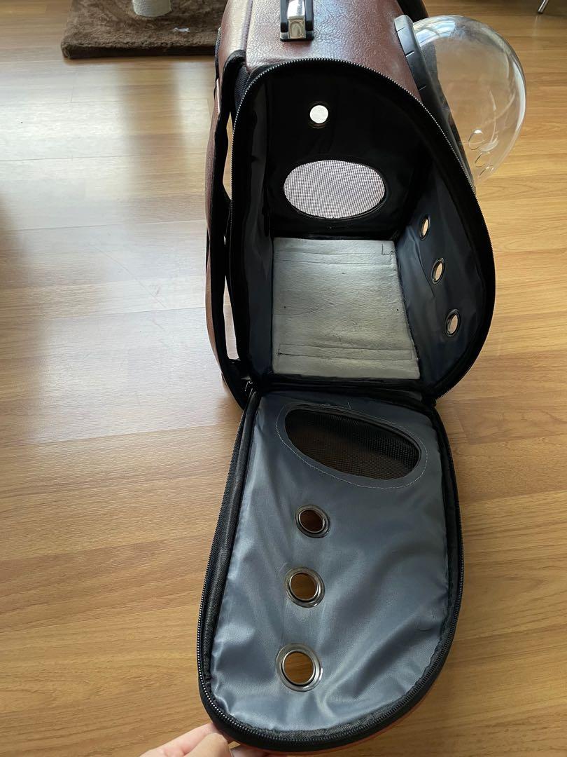 Taylor Swift Cat Bag