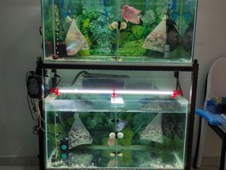 (Category: ) located in . Submitted by cloud1680 (Listing ID 1123617403, Image 1). Description: .