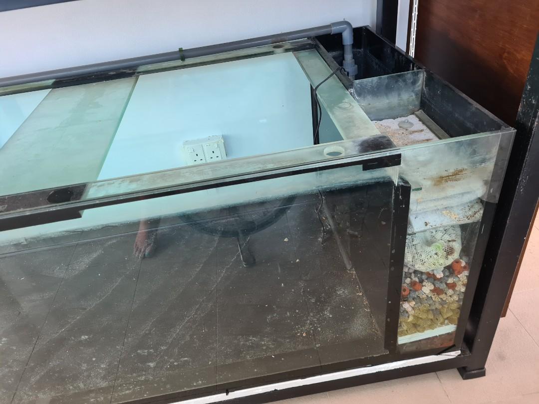 5ft x 2.5ft x 2ft Solid Metal Fish Tank x2 with Rack, Pet Supplies