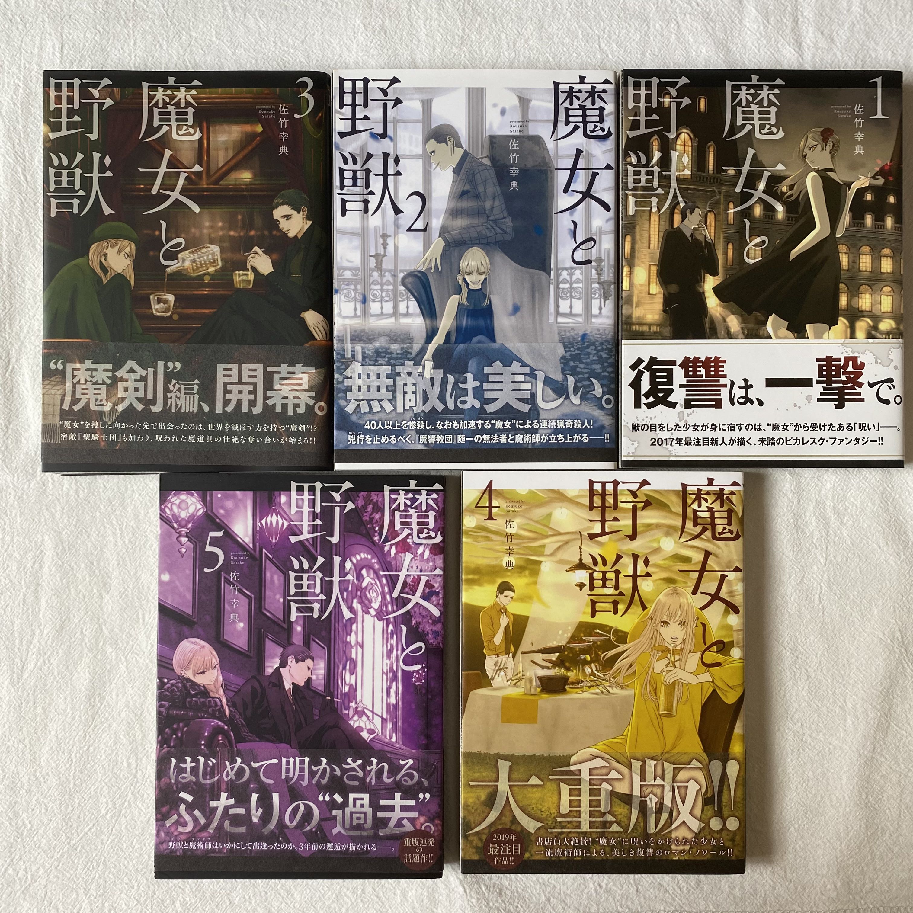 魔女と野獣 1 5 By 佐竹幸典 Hobbies Toys Books Magazines Comics Manga On Carousell