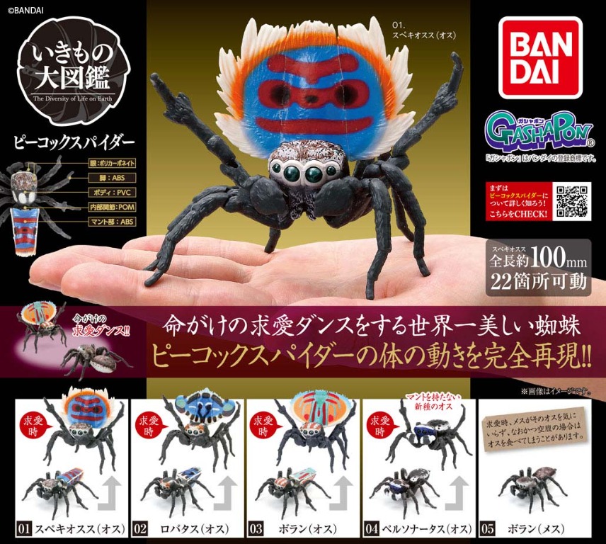 全套 散賣 Bandai 環保扭蛋昆蟲系列可動孔雀蜘蛛編第1彈扭蛋 全5種 興趣及遊戲 玩具 遊戲類 Carousell