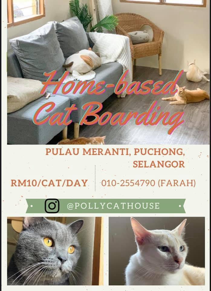 Cat Boarding, Services, Others on Carousell