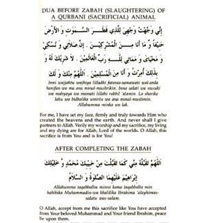 Daily Dua (English - Arabic) (ROMANIZE), Hobbies & Toys, Books & Magazines,  Religion Books on Carousell