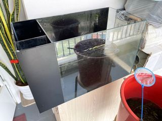 (Category: ) located in . Submitted by guaijeff (Listing ID 1123555326, Image 1). Description: .