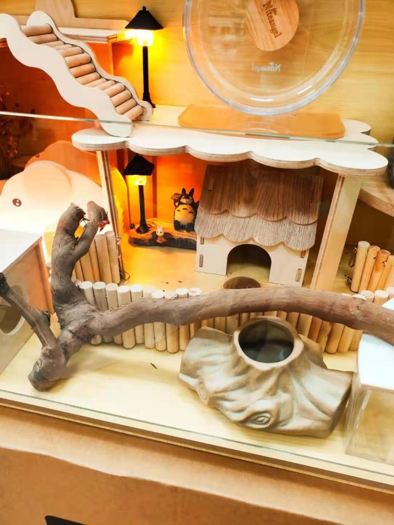 Picture of Hamster glass/acrylic enclosure, Pet Supplies, Homes & Other Pet ...
