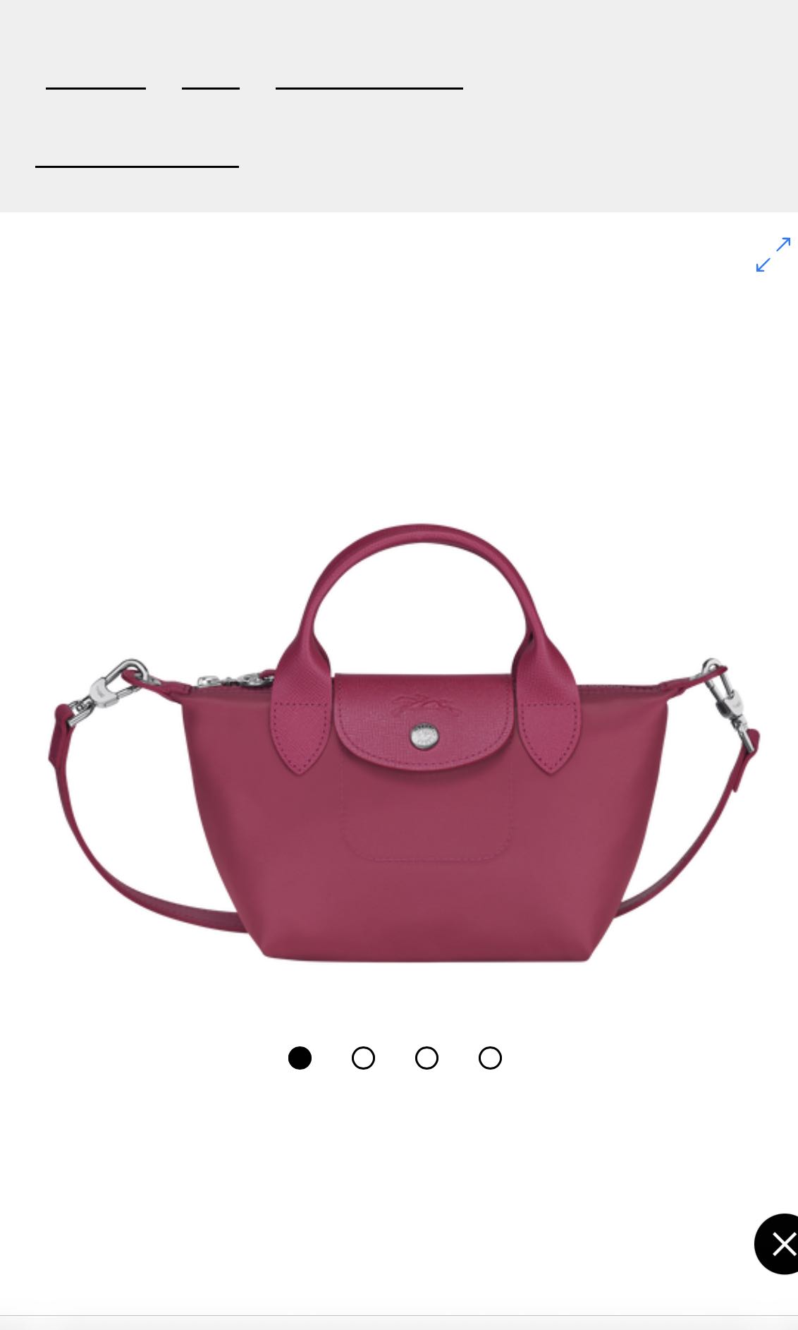 longchamp bag small size