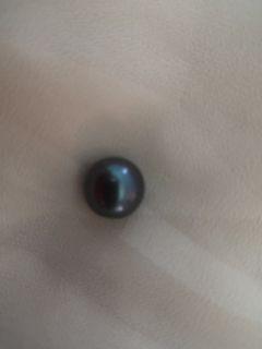 Loose 12mm black southsea pearl
