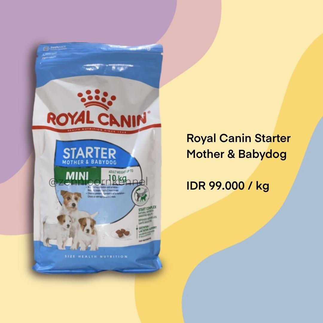 Onhandig Hijgend uitglijden Royal Canin Medium Starter 20 Kg | islamiyyat.com