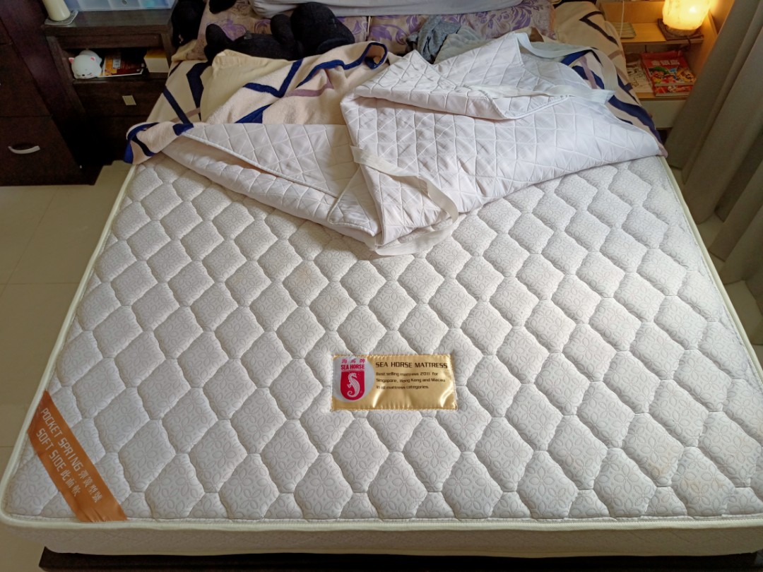 Seahorse pocket deals spring mattress