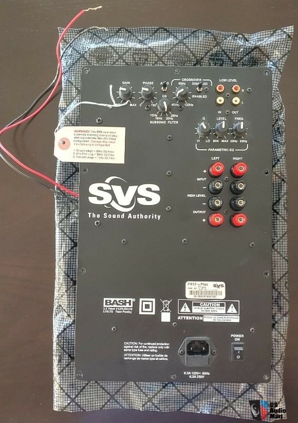 Bash new arrivals plate amp