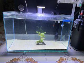 2 feet fish tank with lights and basic filter