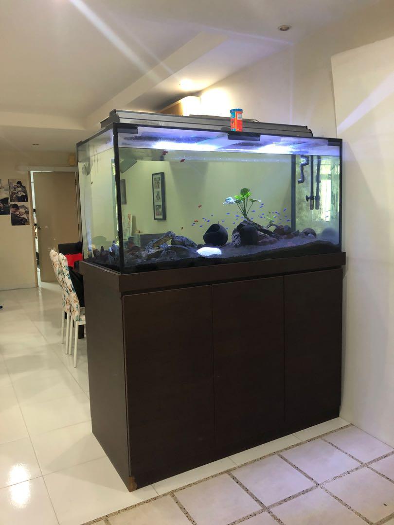 4 x2x2 feet fish tank with customize shoes cabinet, Furniture & Home  Living, Furniture, Shelves, Cabinets & Racks on Carousell