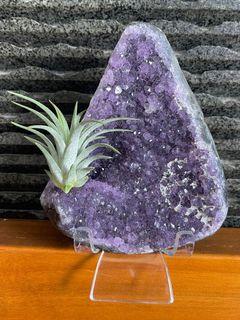Amethyst cave with airplant air plant airplants air plants tillandsia ionanatha amethyst cluster amethyst slice amethyst slab amethyst with stand raw crystal