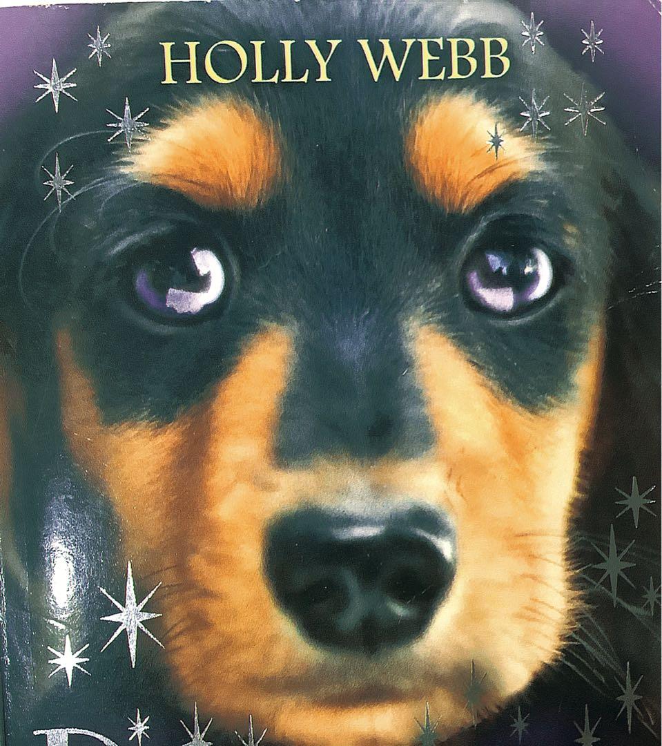 Animal Magic 7 Book Series by Holly Webb, Hobbies & Toys, Books &  Magazines, Children's Books on Carousell