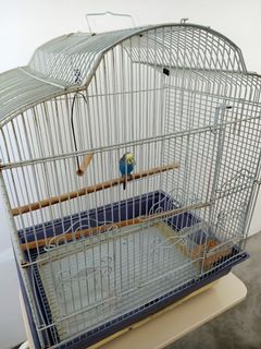 (Category: ) located in . Submitted by ecec8 (Listing ID 1123735186, Image 1). Description: .