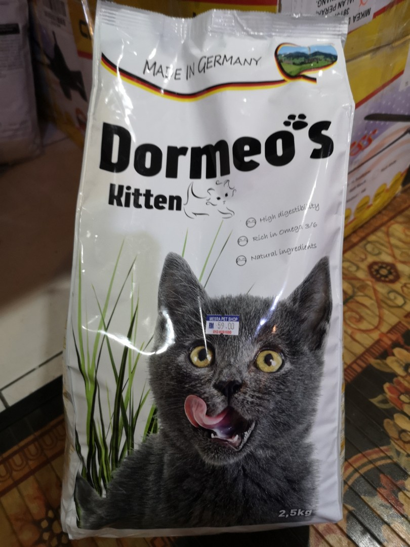 Dormeo kitten online