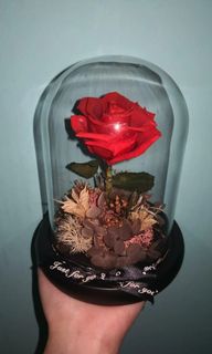 (Category: ) located in . Submitted by c.maine_ (Listing ID 1123781004, Image 1). Description: .