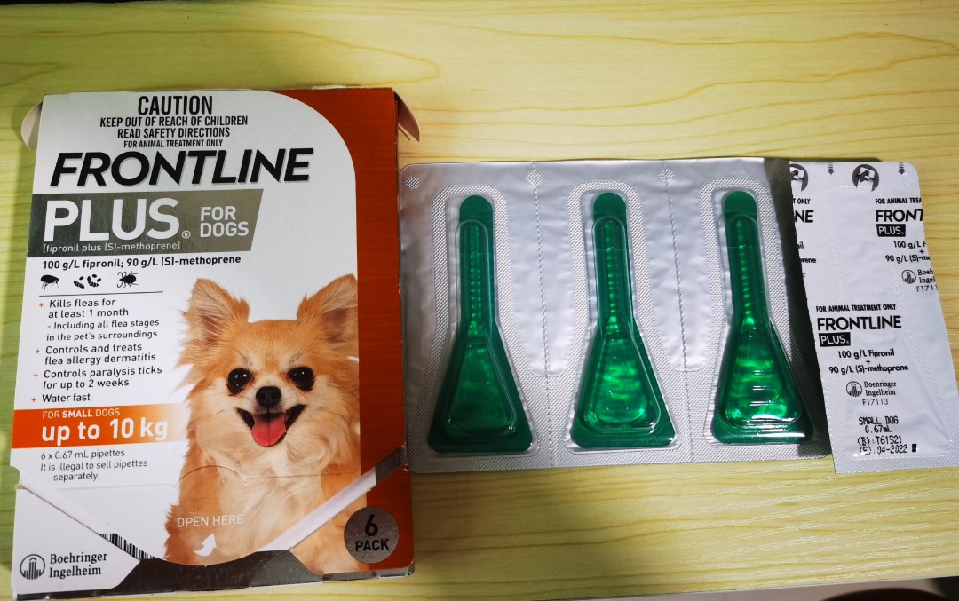 frontline for chihuahuas