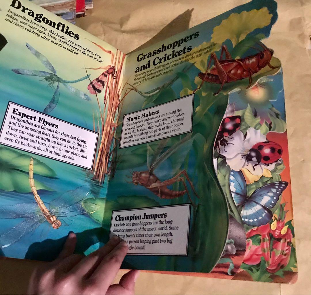 Insects at your Fingertips (board book), Hobbies & Toys, Books