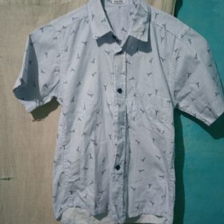 (Kategori: ) berada di . Dikirim oleh moniqnelson (ID iklan 1123874214, Gambar 1). Deskripsi: .