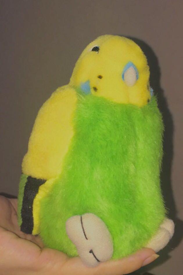 parrot cuddly toy
