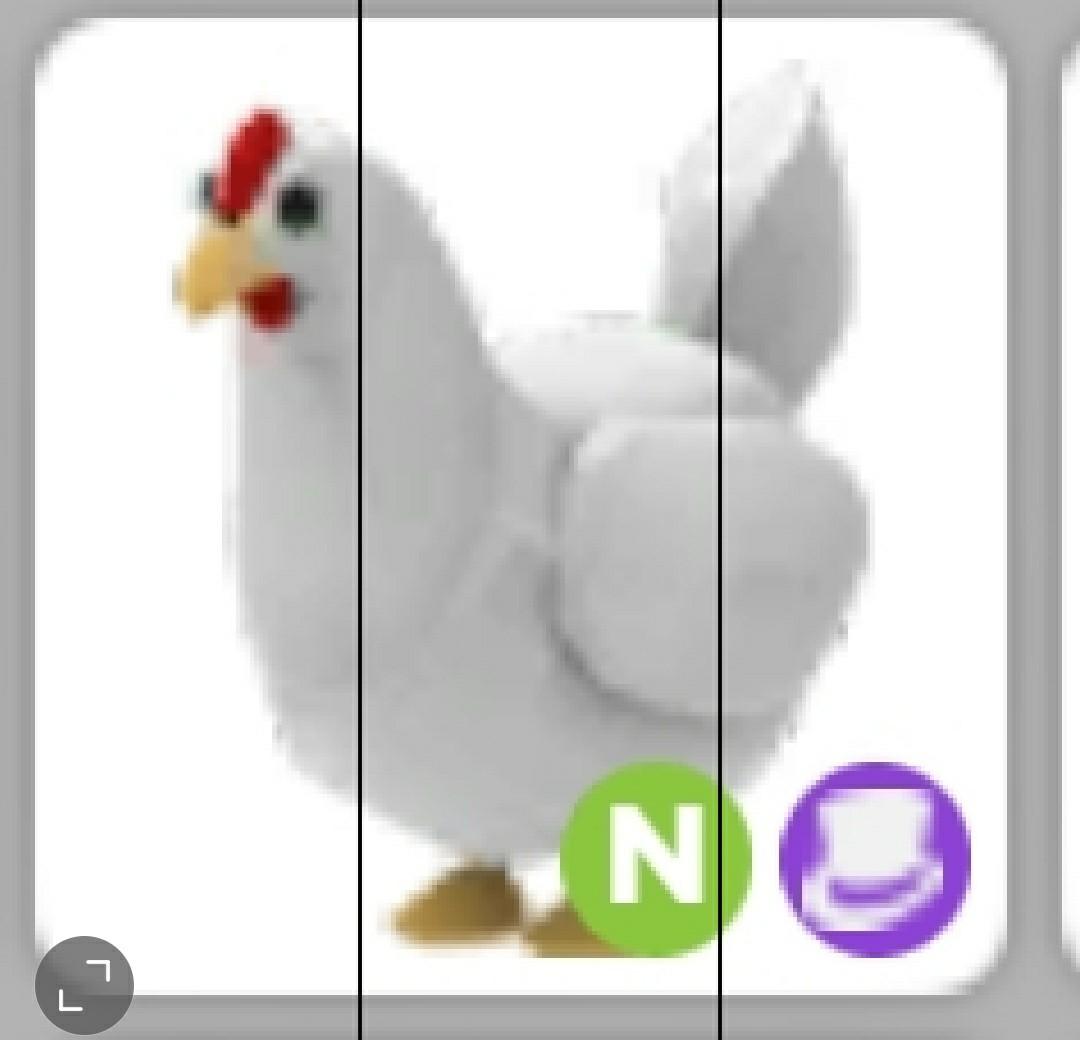 Chicken shelters near me sale