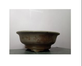 Bonsai Pots Collection item 1