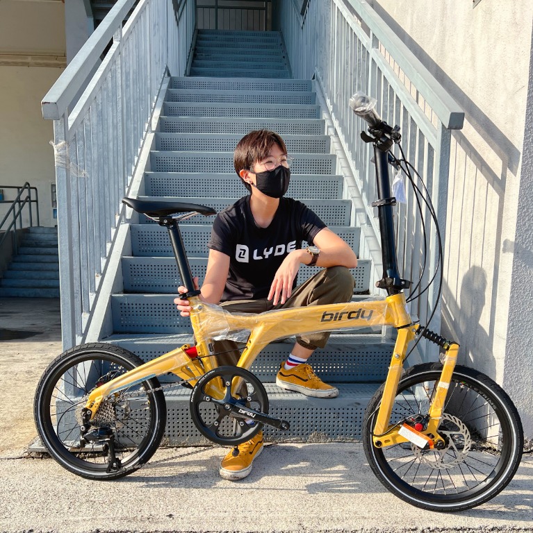 BIRDY City 9sp Folding Bike Metallic Gold, Sports Equipment, Bicycles & Parts, Bicycles on