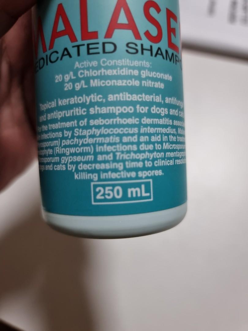 Dermcare malaseb medicated shampoo (250ml), Pet Supplies, Health
