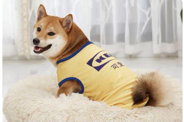 Dog hotsell shirt brand