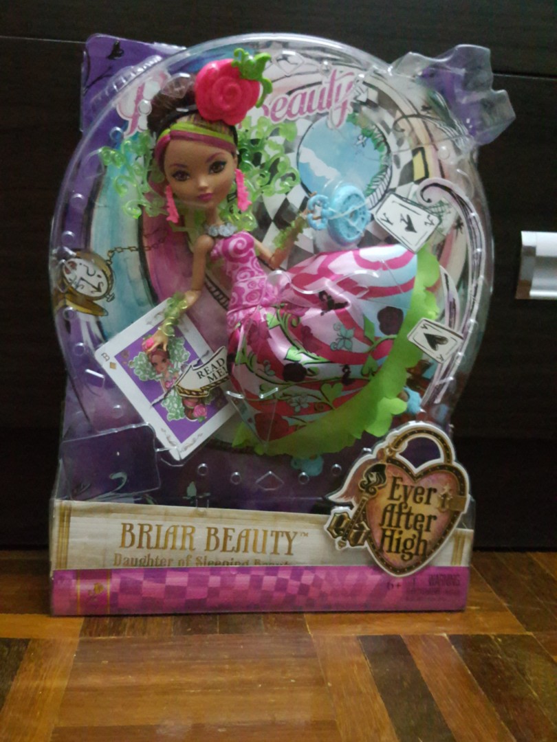 Briar beauty way too wonderland top