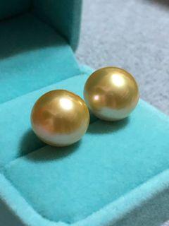 Jewelmer 14 mm Champagne South Sea Pearl Earrings