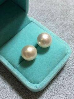 Jewelmer White South Sea Pearl Earrings