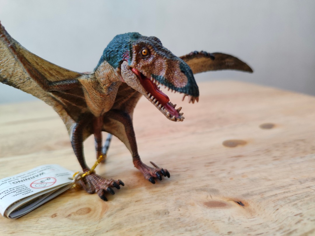 Papo Dimorphodon Dinosaur Hobbies Toys Toys Games on Carousell
