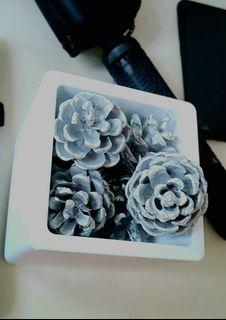 Pine cones, silver painted with string, christmas ornament