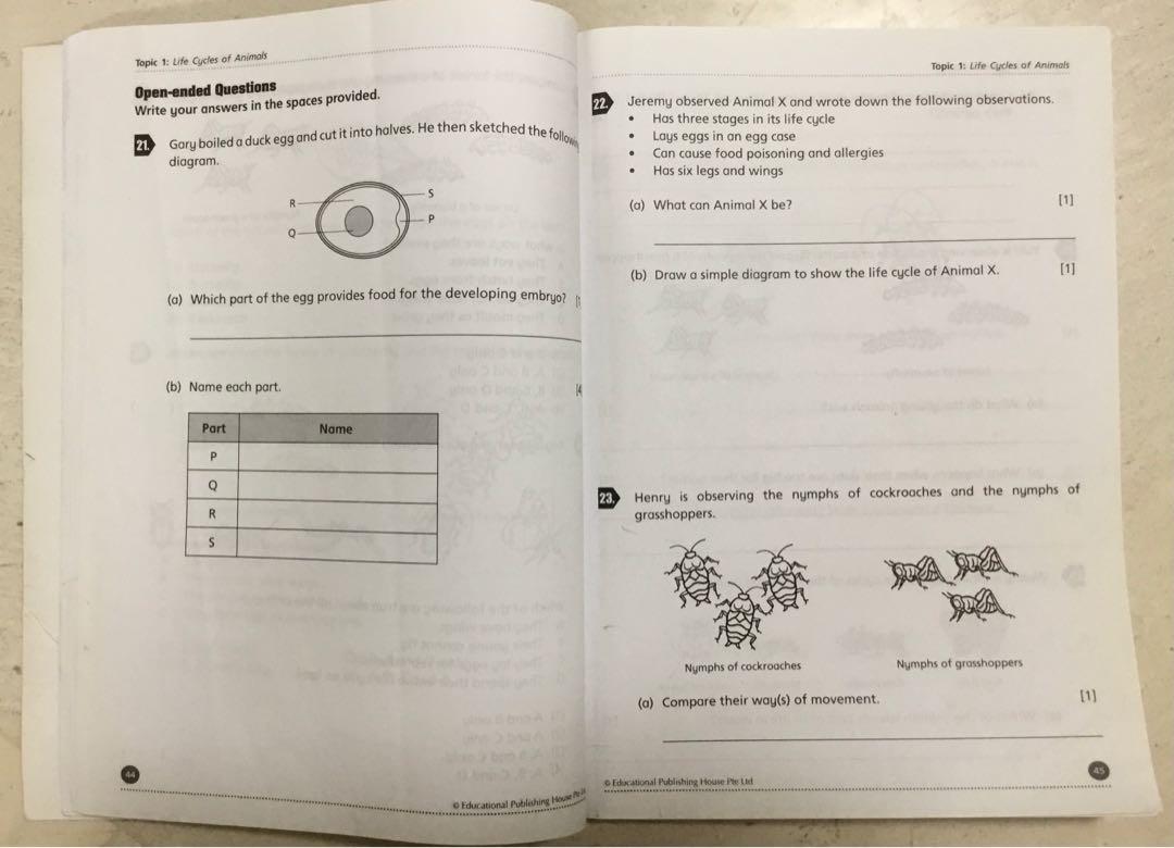 Science experiment centred Questions Pri 4, Hobbies & Toys, Books ...