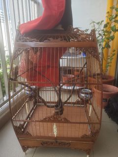 (Category: ) located in . Submitted by azlanrahman02 (Listing ID 1124005625, Image 1). Description: .