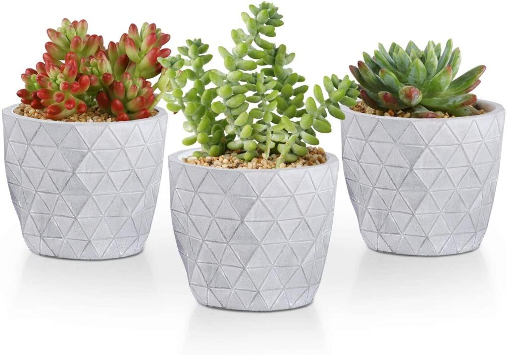 each in 5.5cm pots & 8-13cm high in brand new Ceramic Pots Cacti set of 3 