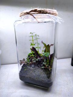 (Category: ) located in . Submitted by beruang_adib (Listing ID 1123984369, Image 1). Description: .