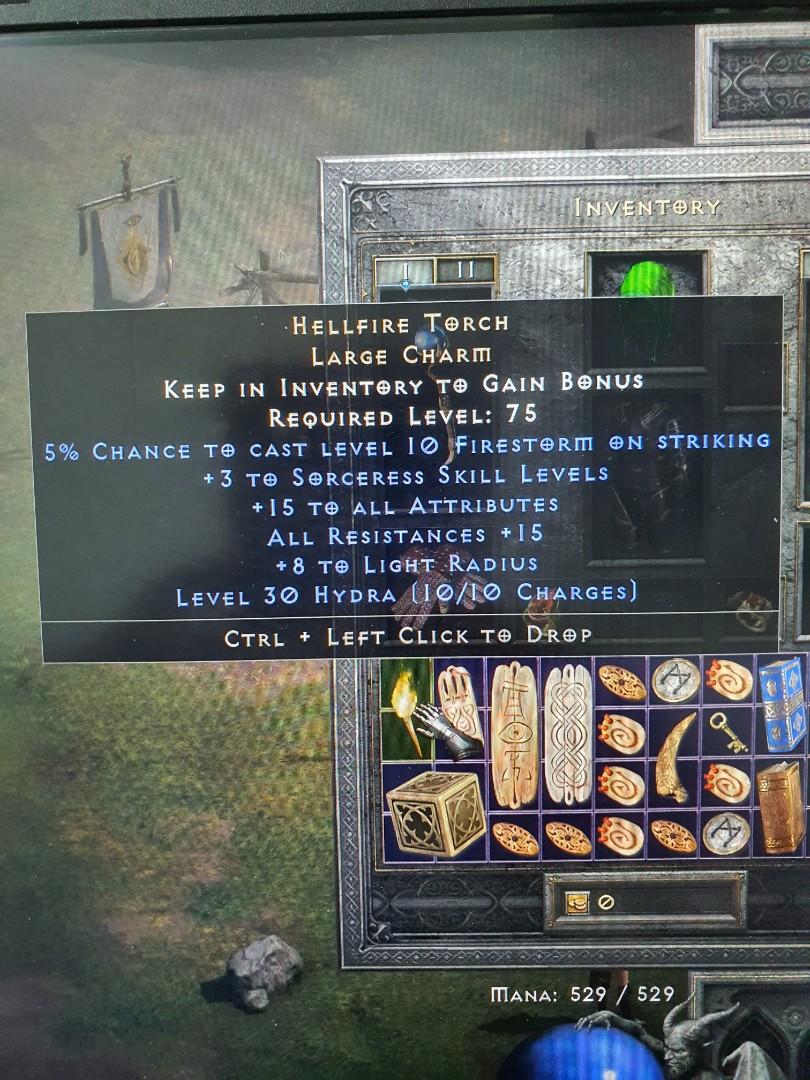 Diablo 2 Resurrected Sorceress Torch (PC softcore), Video Gaming