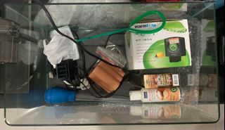 (Category: ) located in . Submitted by chirubala (Listing ID 1124130651, Image 1). Description: .