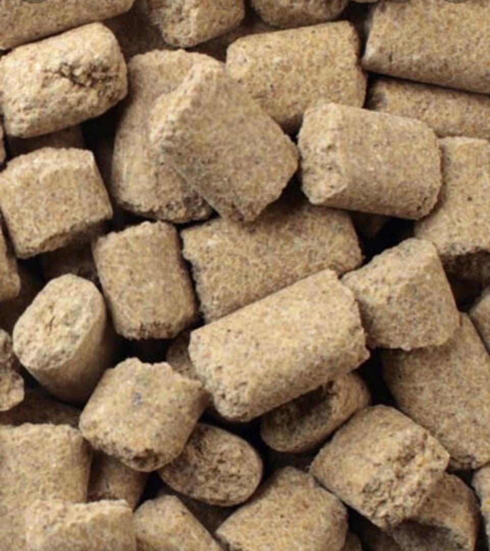 Hamster Food Snack Treat (Mazuri Lab Blocks), Pet Supplies, Pet Food on Carousell