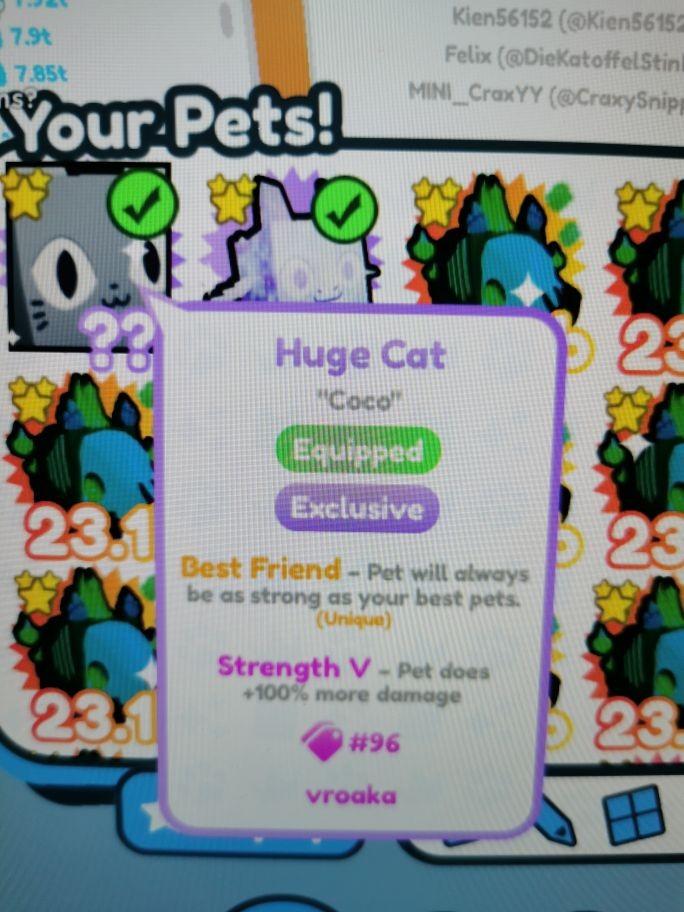 Huge Cat with Low serial Number(Pet simulator x), Video Gaming, Gaming Accessories, InGame